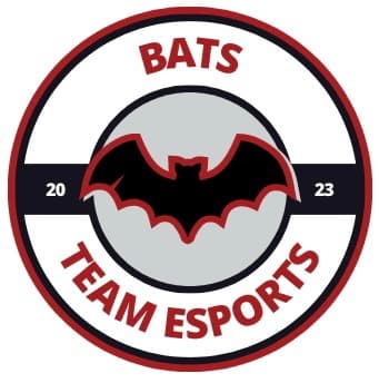 comp img